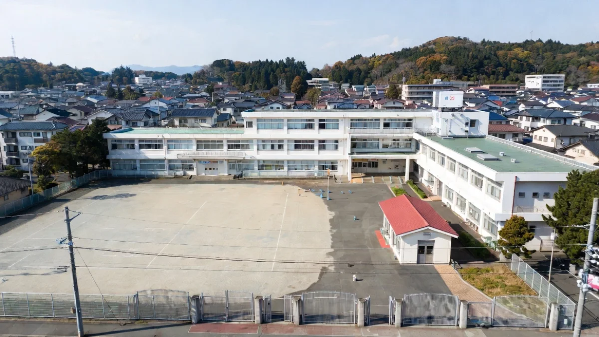 Schools Close Across Japan After Rare Bear Sightings