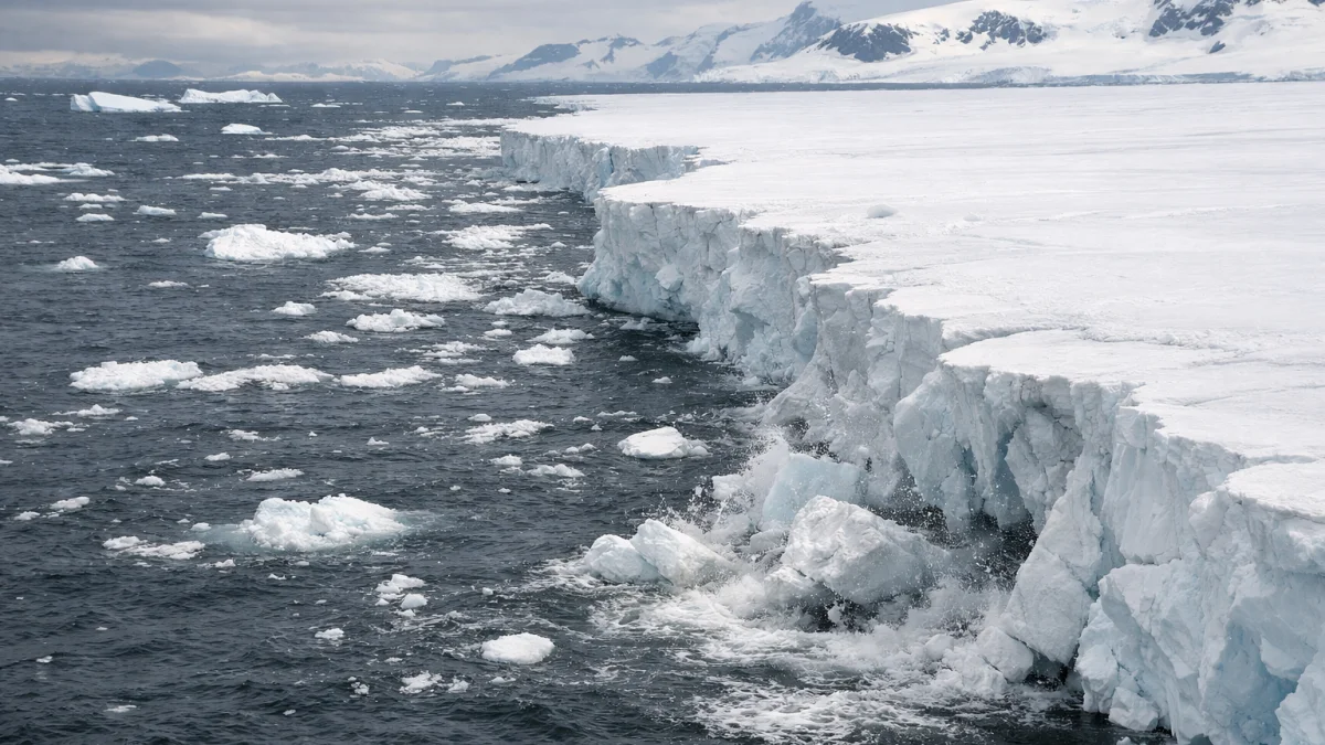 Antarctica West Coast Loses Sea Ice Area Size of France