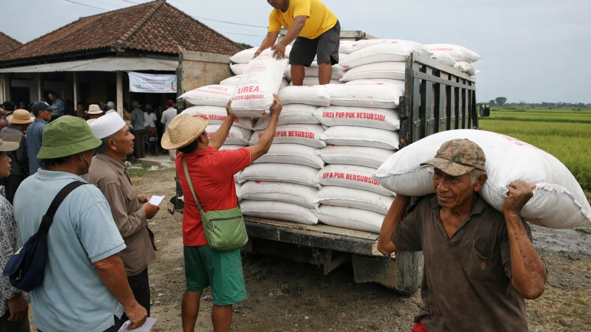 Indonesia’s Fertilizer Distribution Push Reveals Farmers’ Seasonal Challenges