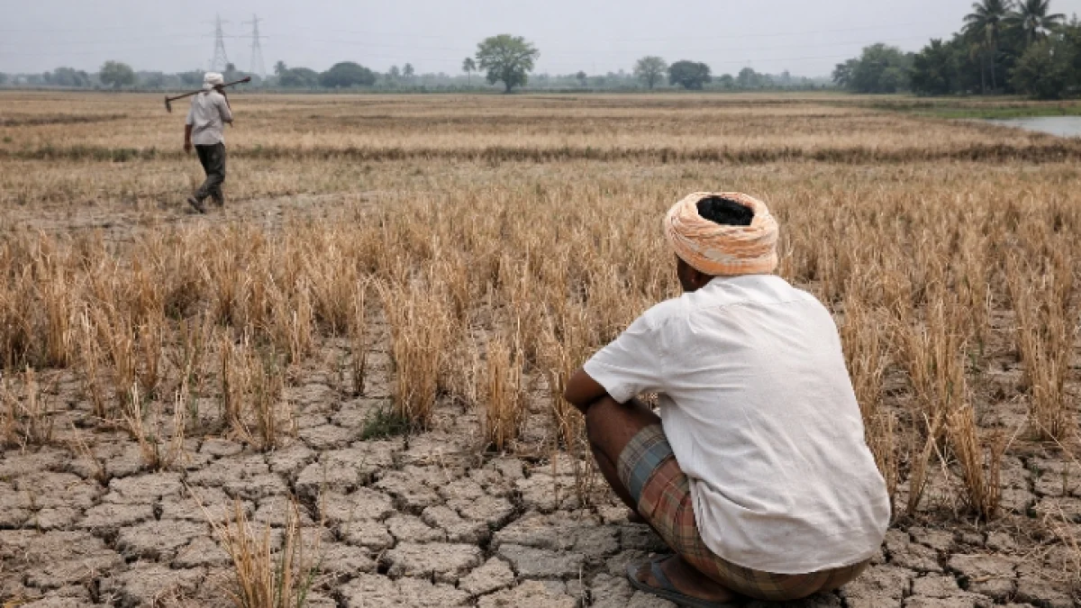 Poor Monsoon Impacts India's Agricultural Import Bill Projections