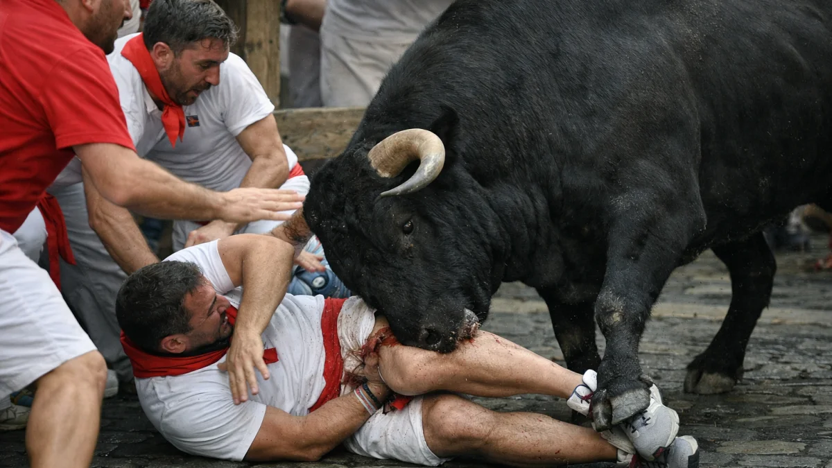 Bull Gores Runner at Spain San Fermin Festival